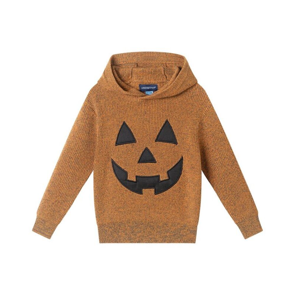 Andy & Evan Boys  Hooded Sweater, Orange